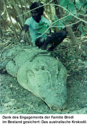 Jim the Aboriginal mit einem Krokodil 1973